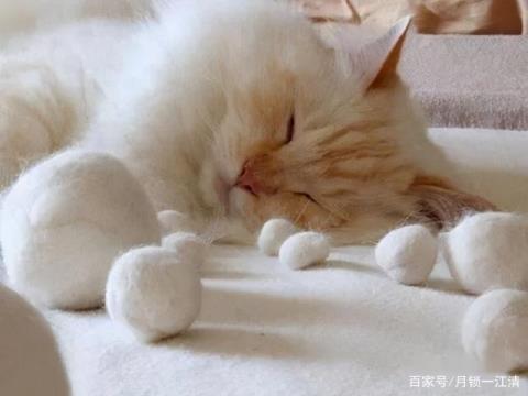 猫毛球症怎么治疗 吉祥日历